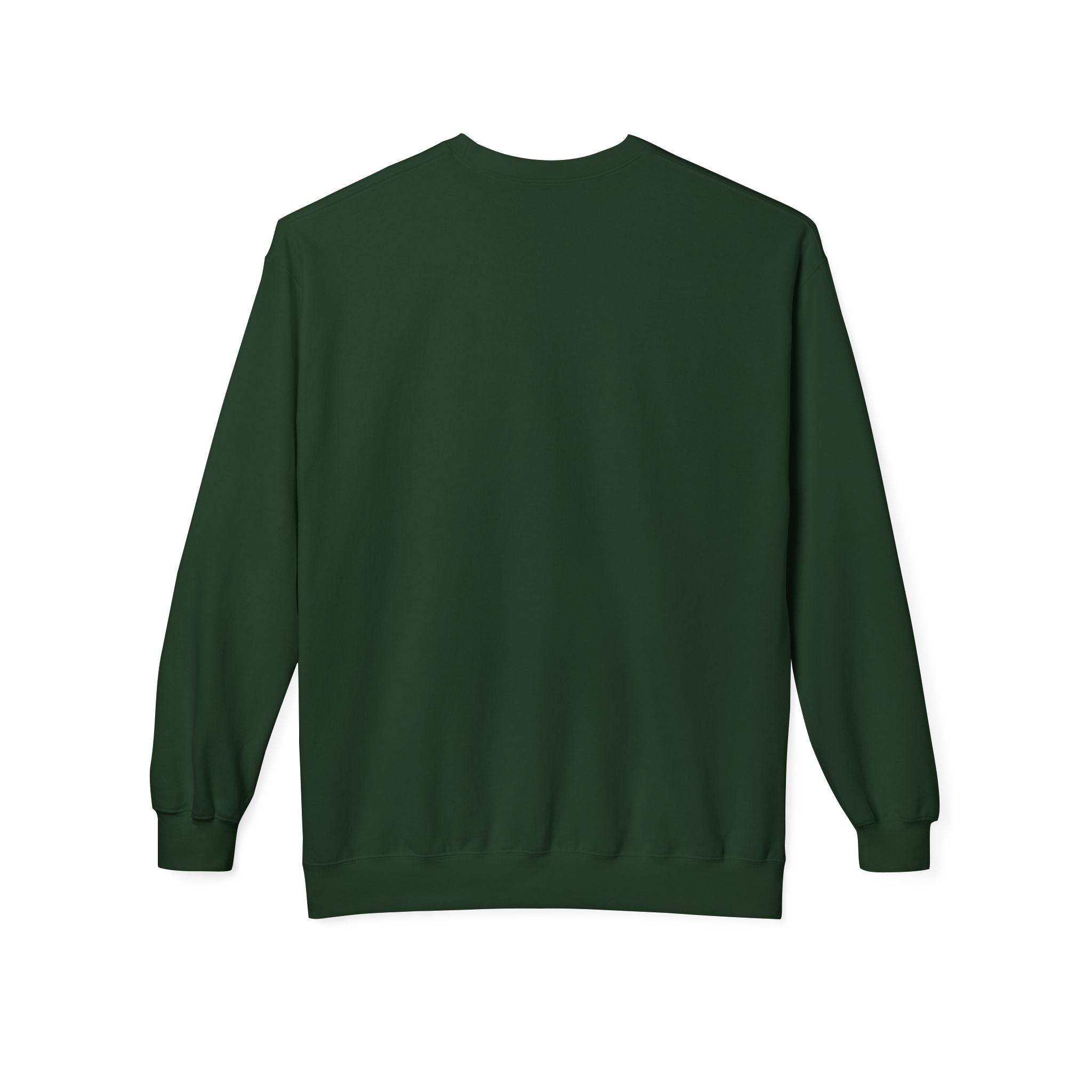 Forever Wild Foundation crewneck sweatshirt | Adirondacks Mercandise