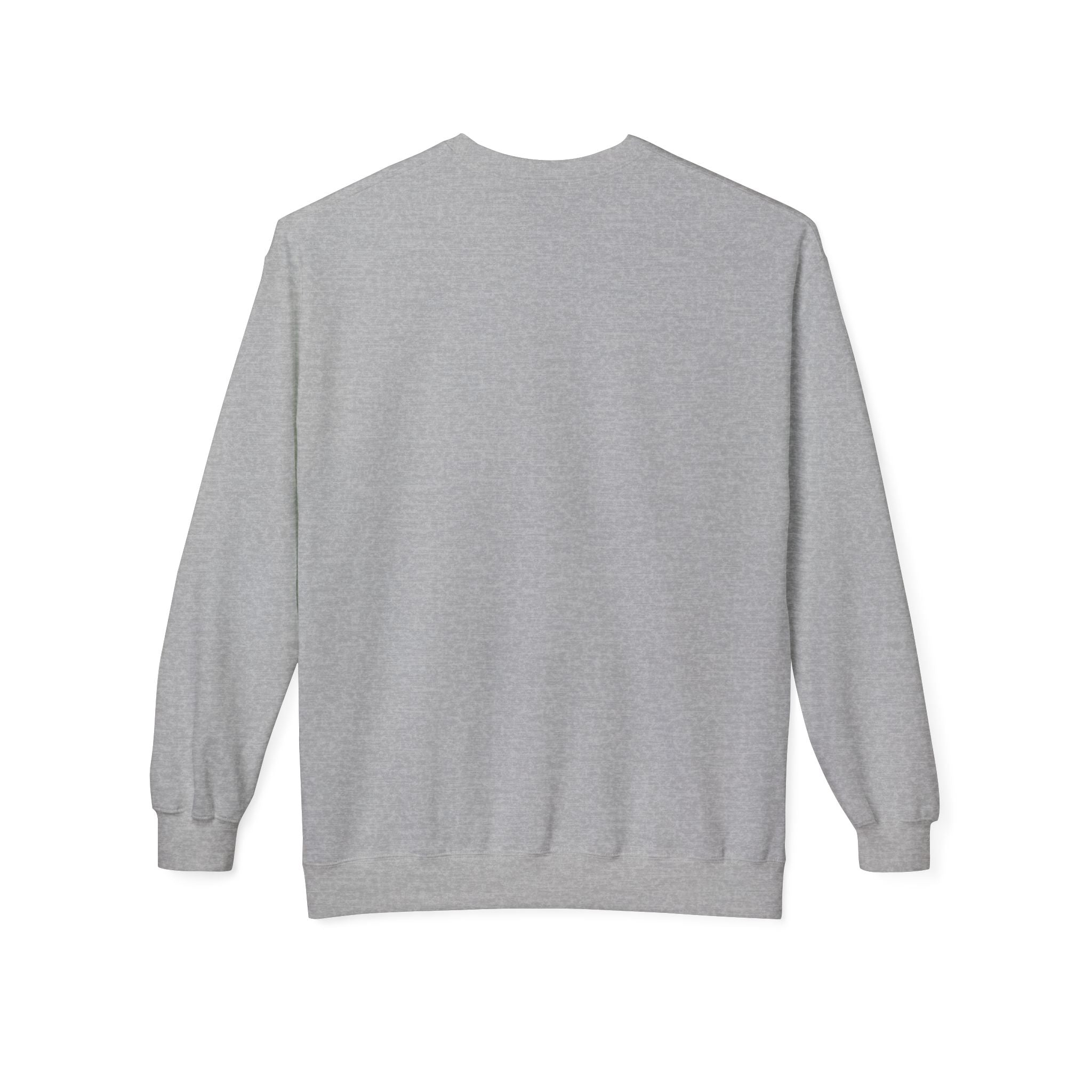 Forever Wild Foundation crewneck sweatshirt | Adirondacks Mercandise