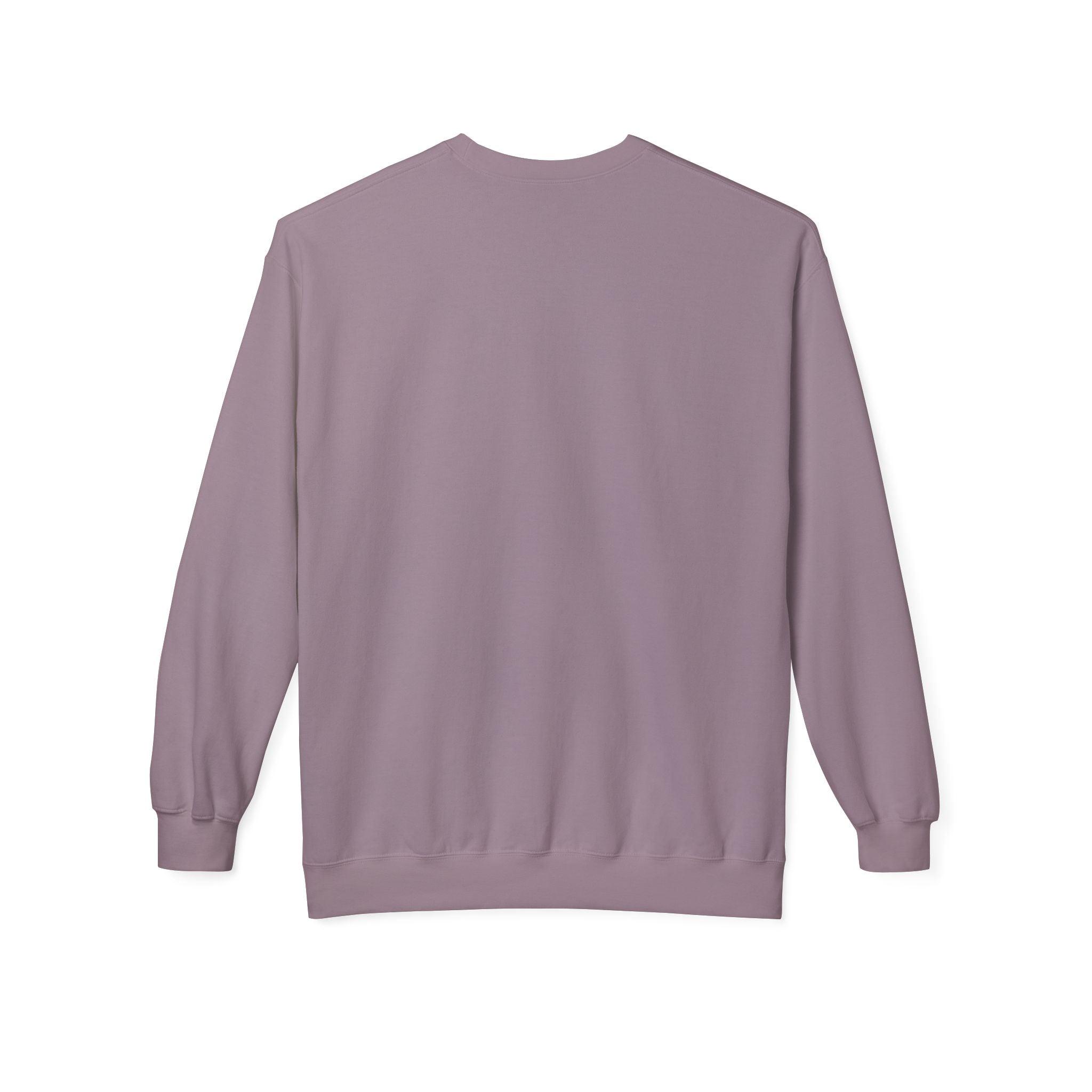 Forever Wild Foundation crewneck sweatshirt | Adirondacks Mercandise